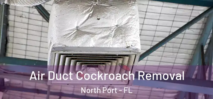 Air Duct Cockroach Removal North Port - FL