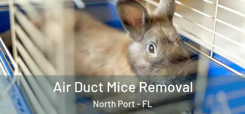 Air Duct Mice Removal North Port - FL
