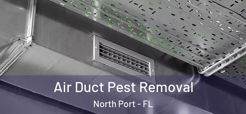 Air Duct Pest Removal North Port - FL