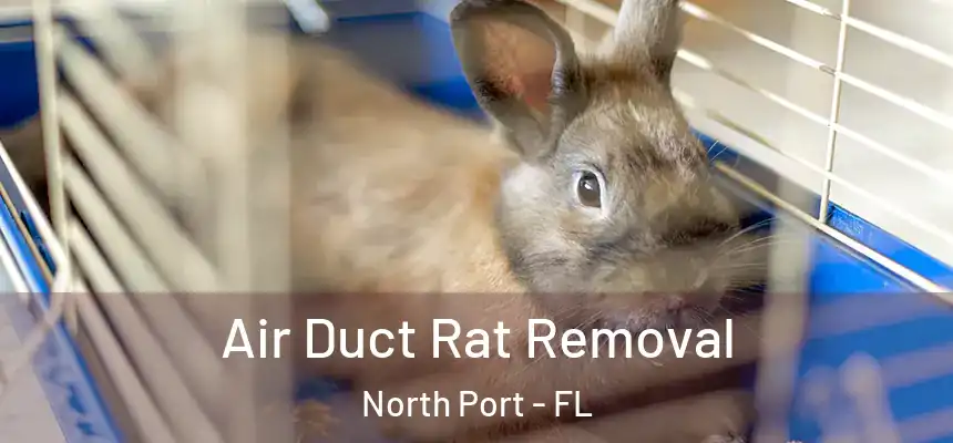 Air Duct Rat Removal North Port - FL