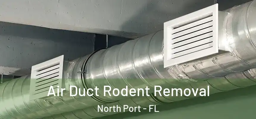Air Duct Rodent Removal North Port - FL