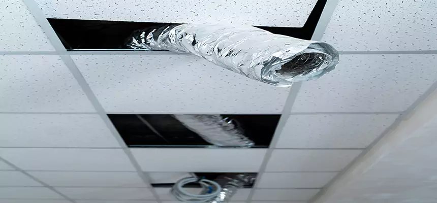 Affordable HVAC Sanitizing After Pest Removal in North Port