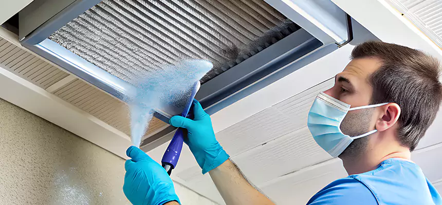 Proactive Dryer Vent & Auxiliary Duct Pollen Cleanup in North Port, FL