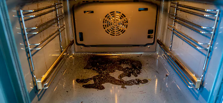 Our Dryer Vent Mold Cleaning Services in North Port, FL