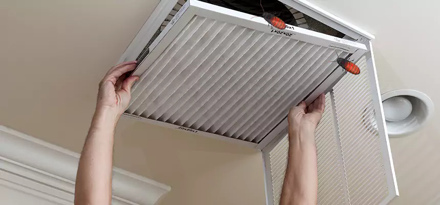 Our Insect Removal from Air Ducts Services in North Port, FL