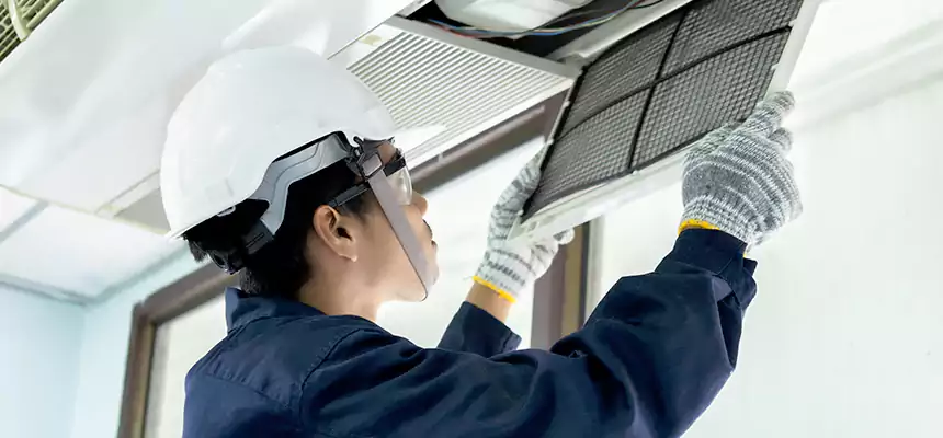 Our Mold & Mildew Removal from Air Ducts Services in North Port, FL