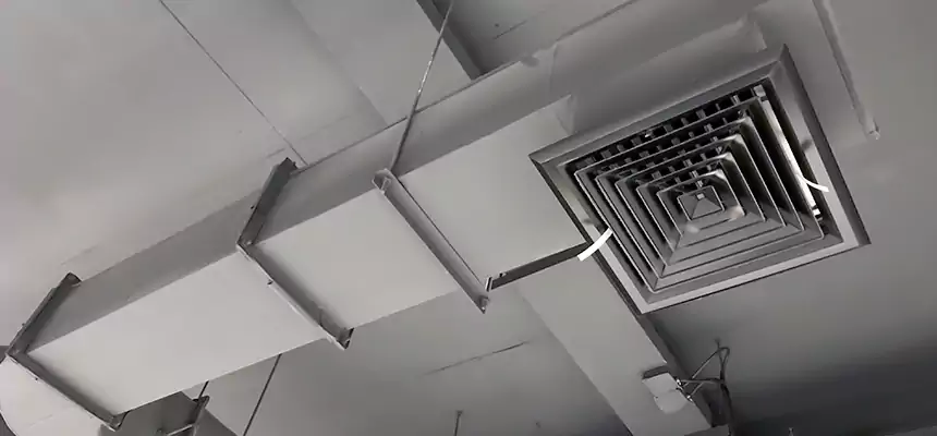 Our Pest Removal From Ducts Services in North Port, FL