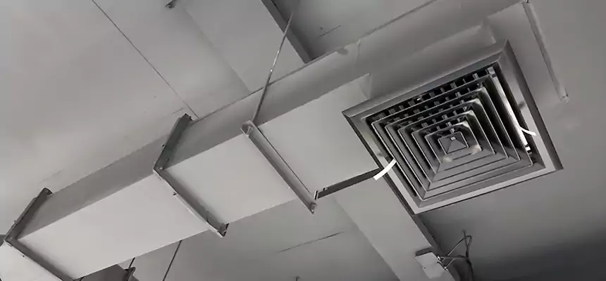 Our Rodent Droppings In Vents Services in North Port, FL