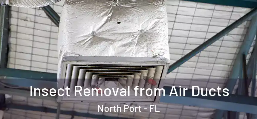 Insect Removal from Air Ducts North Port - FL