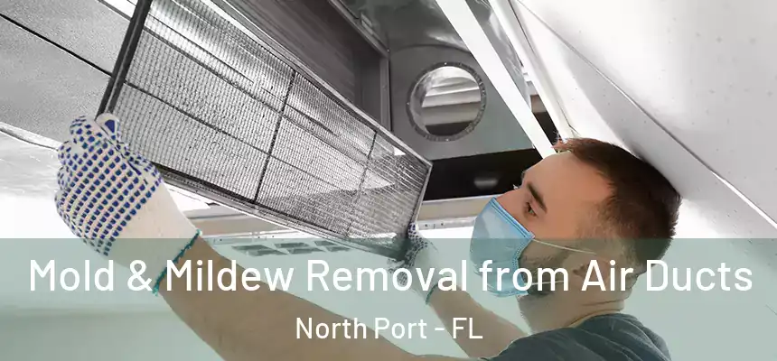 Mold & Mildew Removal from Air Ducts North Port - FL