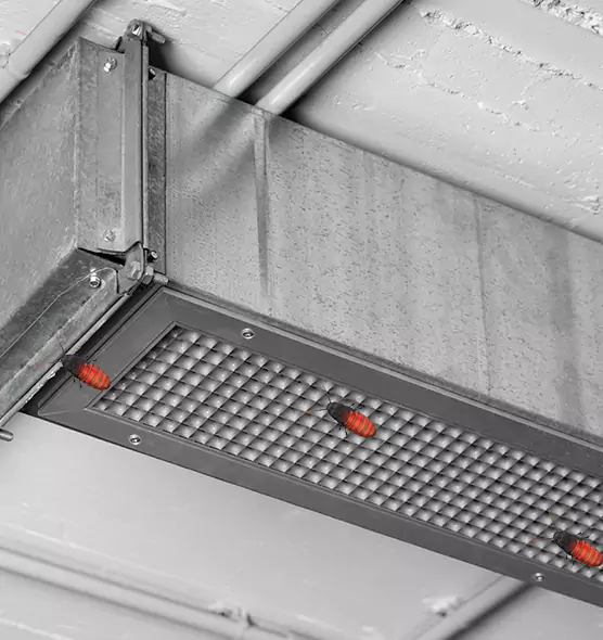 About Air Duct Cockroach Removal in North Port, FL