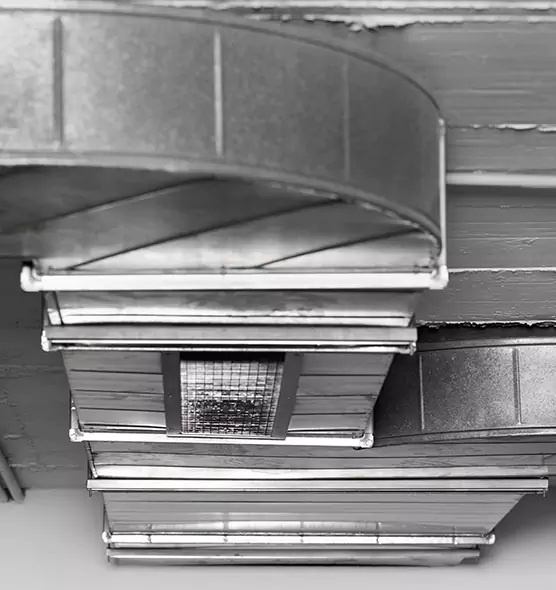 Professional Air Duct Pet Hair Removal in North Port, FL