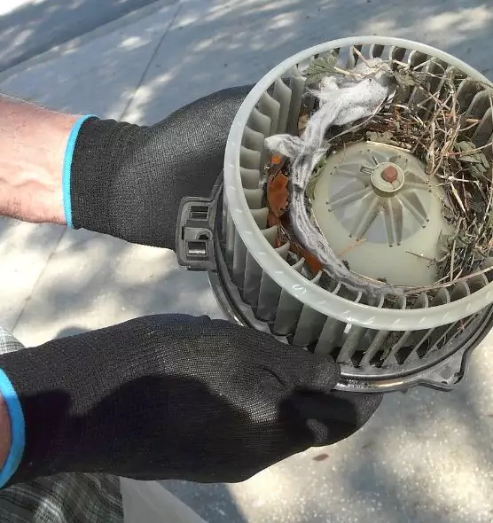 About Air Duct Rat Removal in North Port, FL