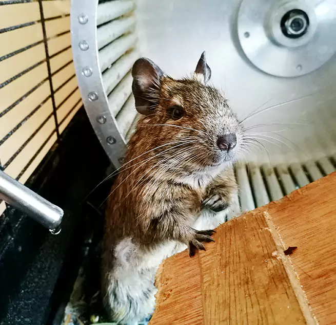 Why Homeowners & Businesses Trust Us North Port, FL