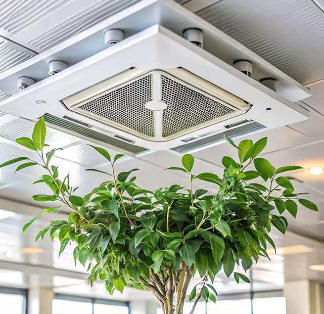 Why Homeowners & Businesses Trust Us in North Port, FL