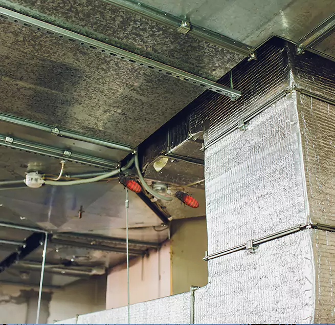 Why Homeowners & Businesses Trust Us North Port, FL?