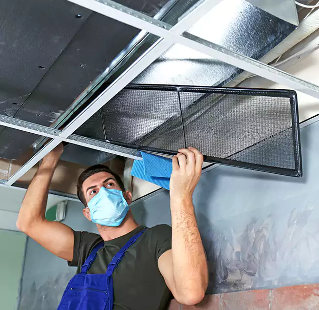 Why Homeowners Businesses Trust Us in North Port, FL